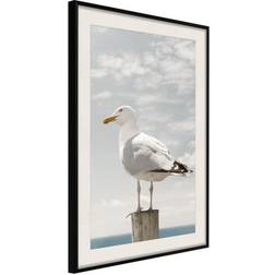 Arkiio Affisch Seagull [Poster] 30x45 Poster